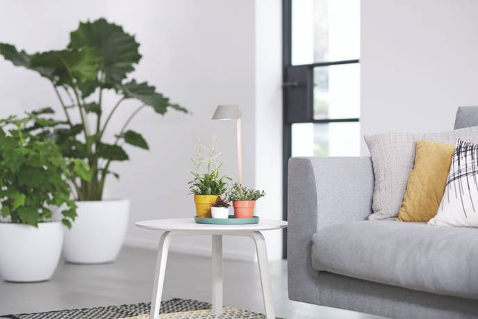 plant light care 11cm glacier grey